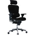Raynor Marketing Ltd. Eurotech Ergohuman Chair - High Back - Fabric - Black -Ergohuman Series FE55ERG-BLACK
